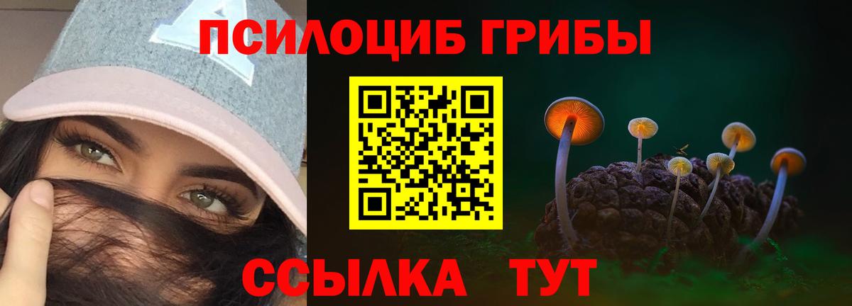 Аксай  Галлюциногенные грибы ЛСД  Вход с VPN  Галлюциногенные грибы прущие грибы 
